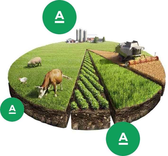 Agraroom. Экосистема сельскохозяйственной отрасли