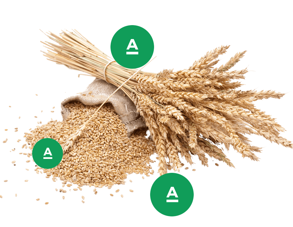 Agraroom. Экосистема сельскохозяйственной отрасли