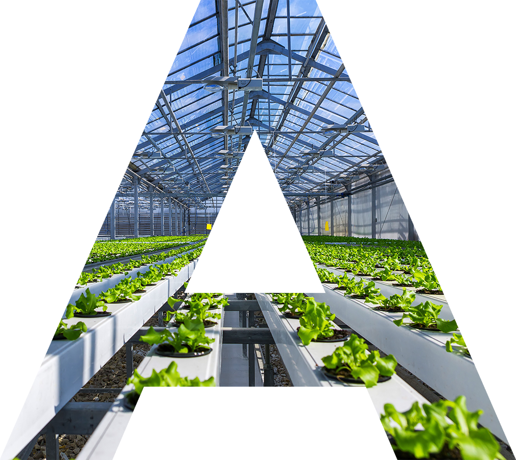 Agraroom. Экосистема сельскохозяйственной отрасли