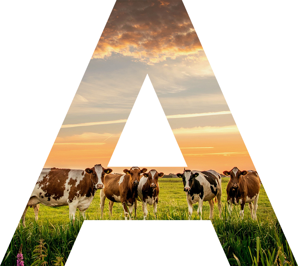 Agraroom. Экосистема сельскохозяйственной отрасли