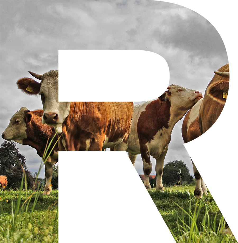 Agraroom. Экосистема сельскохозяйственной отрасли