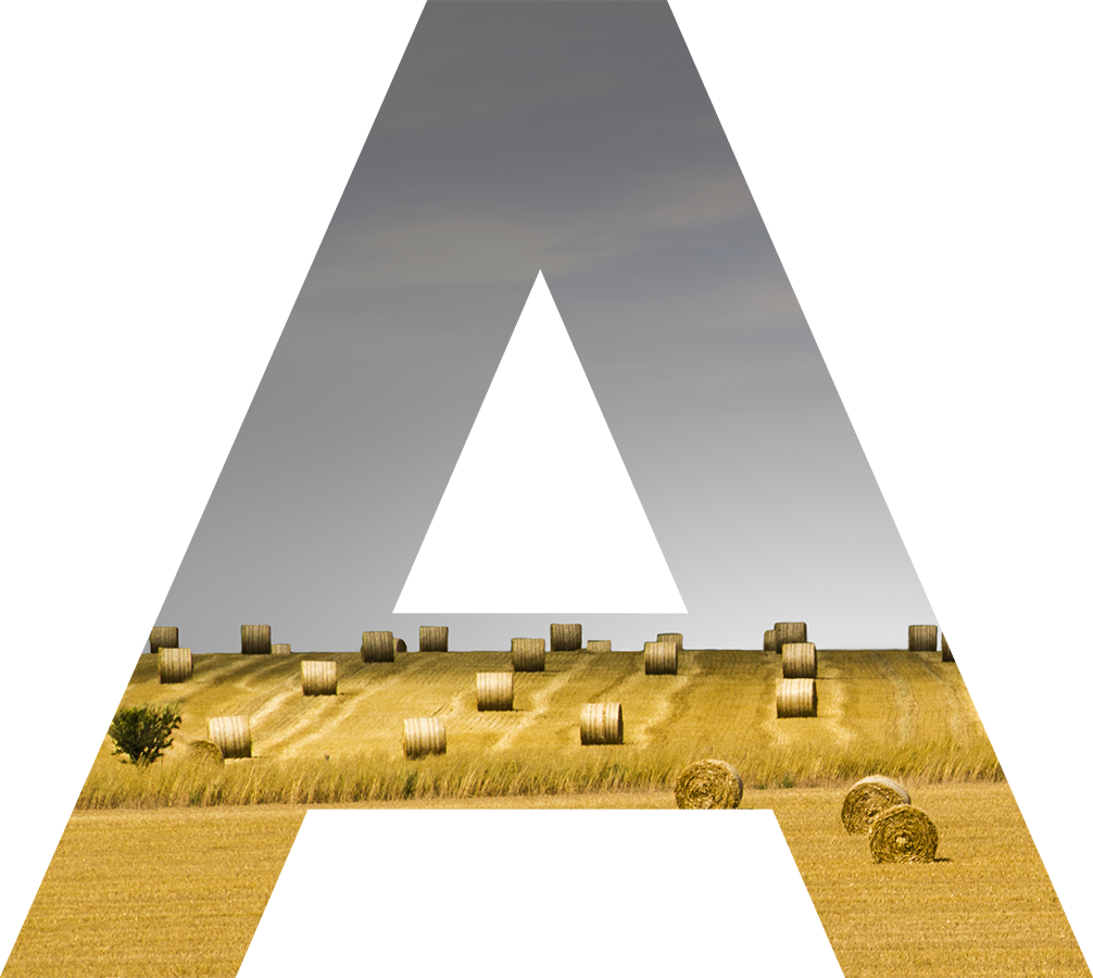 Agraroom. Экосистема сельскохозяйственной отрасли