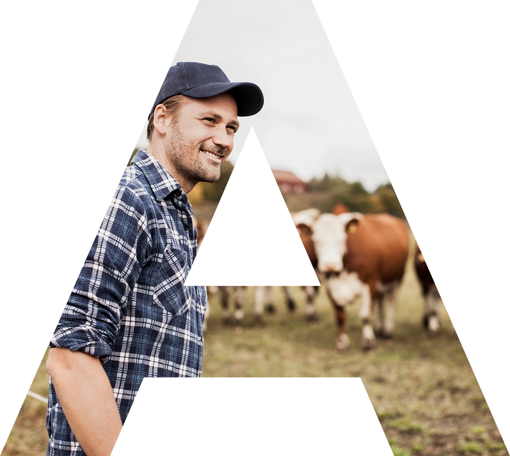 Agraroom. Экосистема сельскохозяйственной отрасли