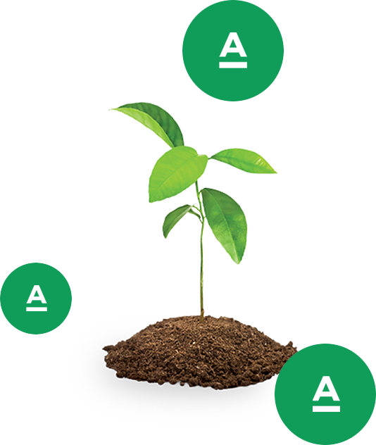 Agraroom. Экосистема сельскохозяйственной отрасли