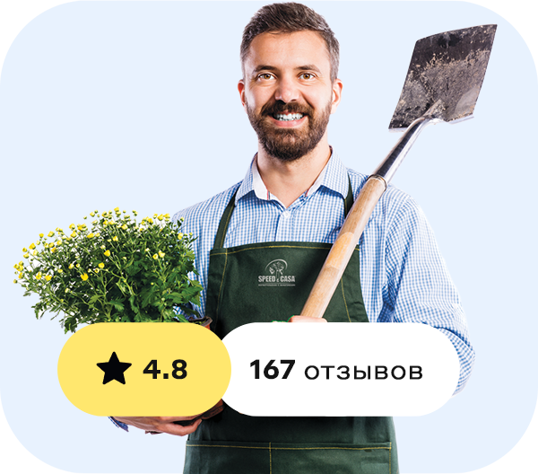 Акция маркетплейс