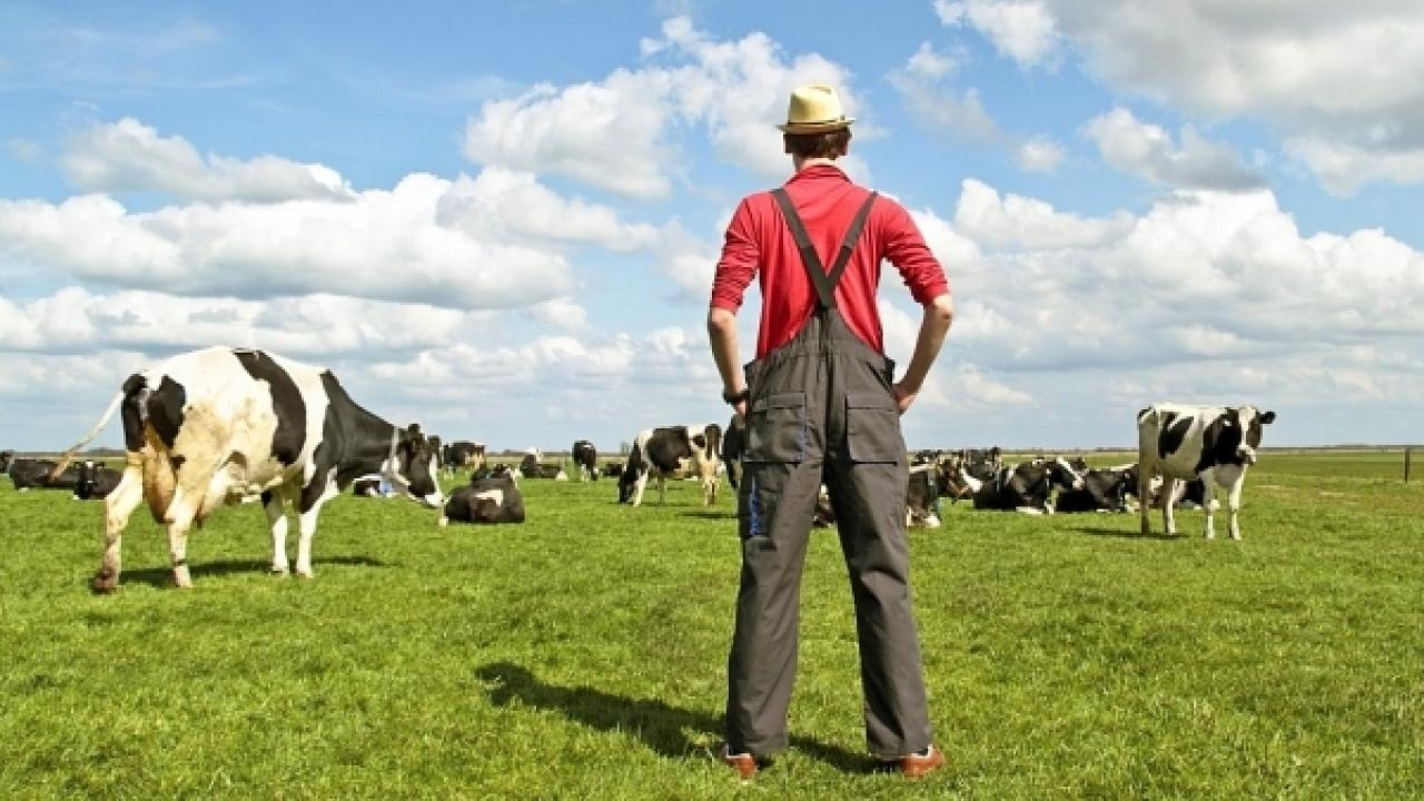 Услуги фермерам на Agra Pie