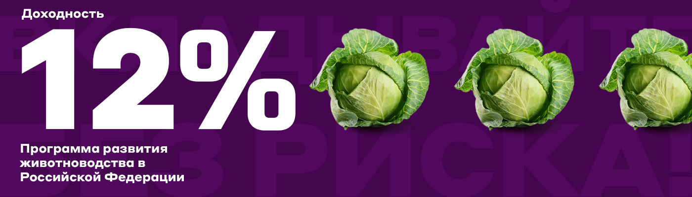 Первый слайд