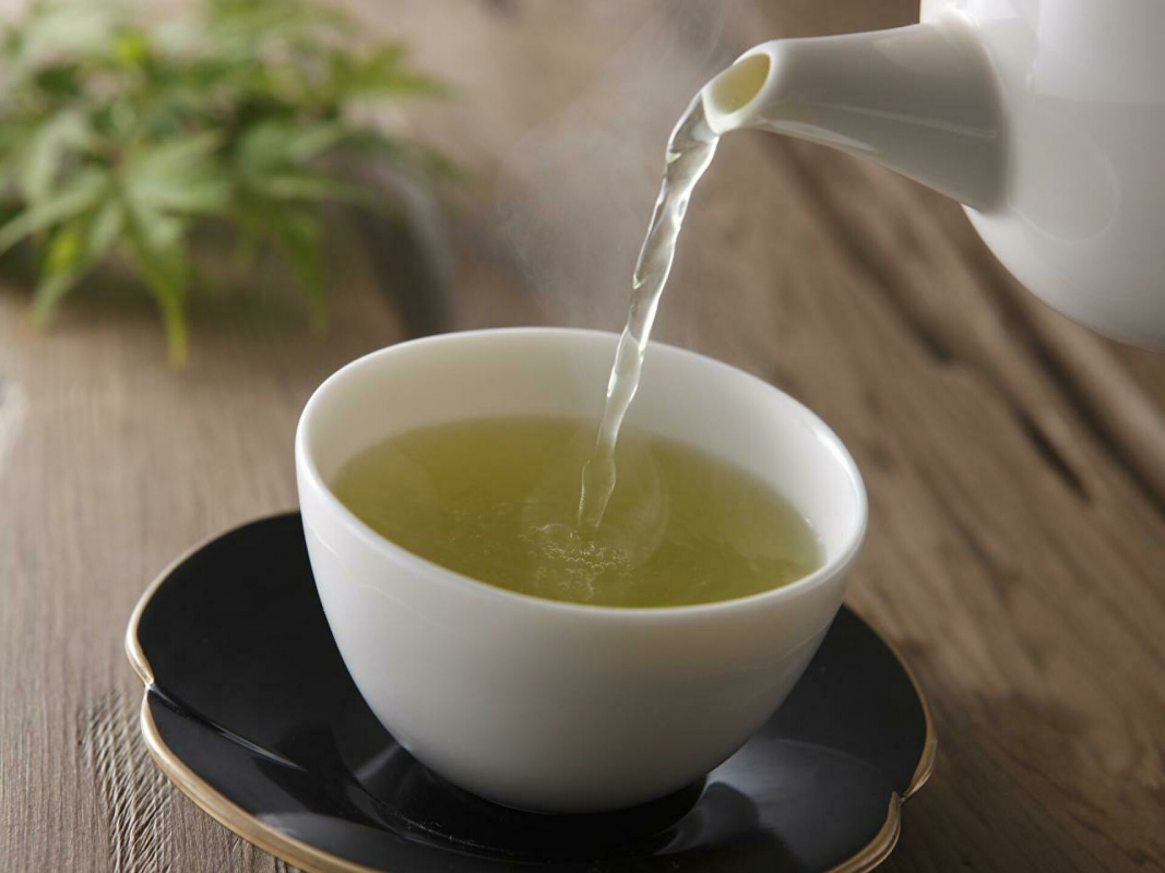 Продажа конопляного чая в СПб