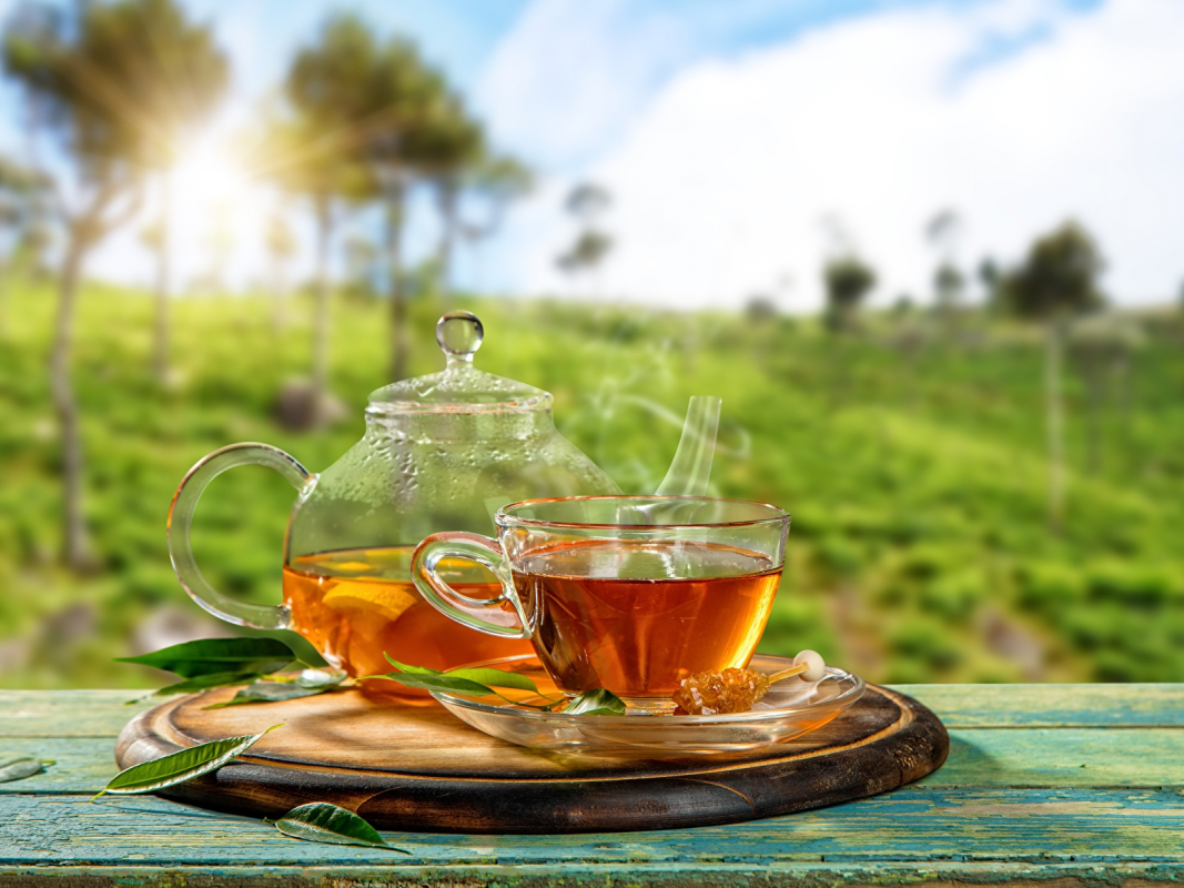 Как приготовить конопляный чай